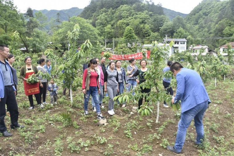 朱恒传授村民果苗种植技术.jpg