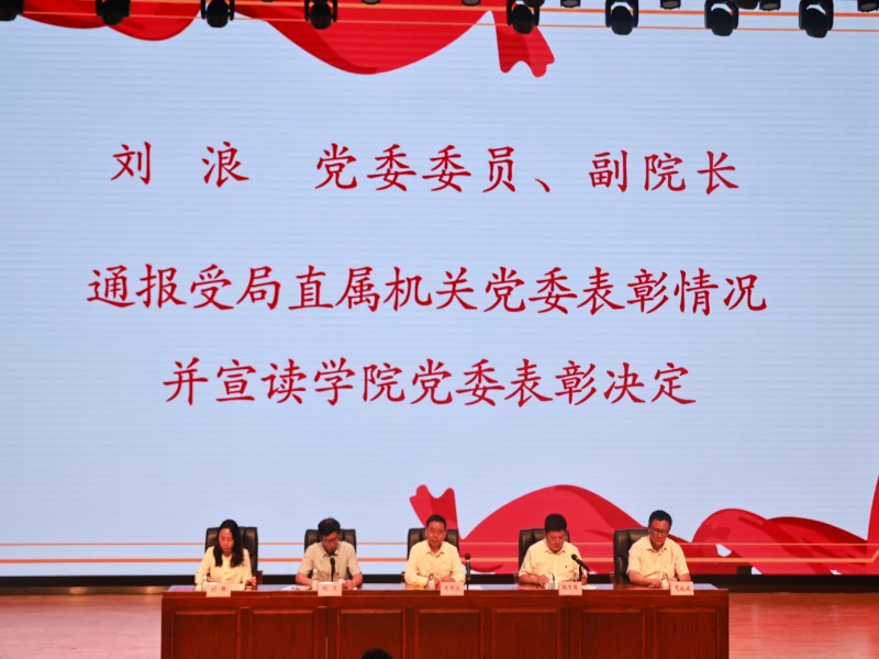 党委委员、副院长刘浪宣读表彰决定.jpg